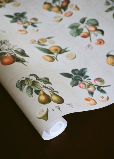 Harvest Wrapping Paper